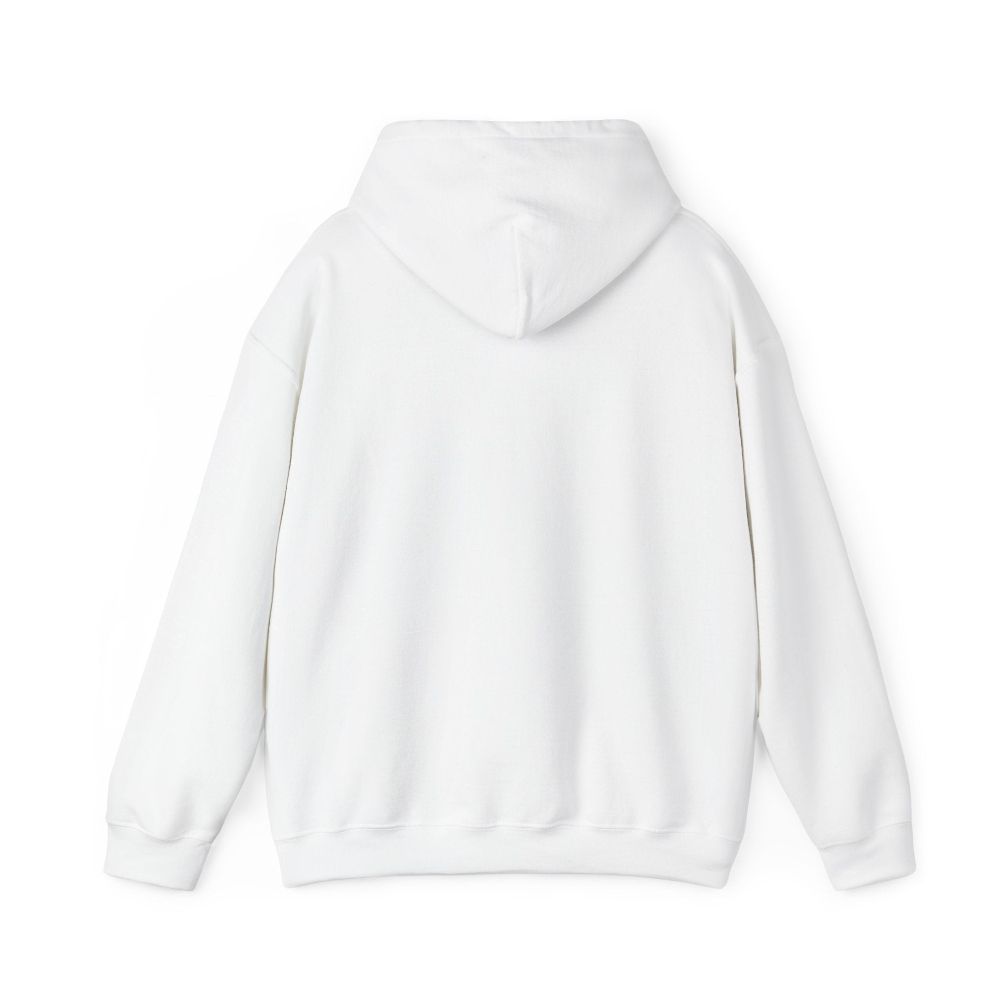 PW School of Art Unisex Hoodie - Cozy & Stylish Sweatshirt for Students