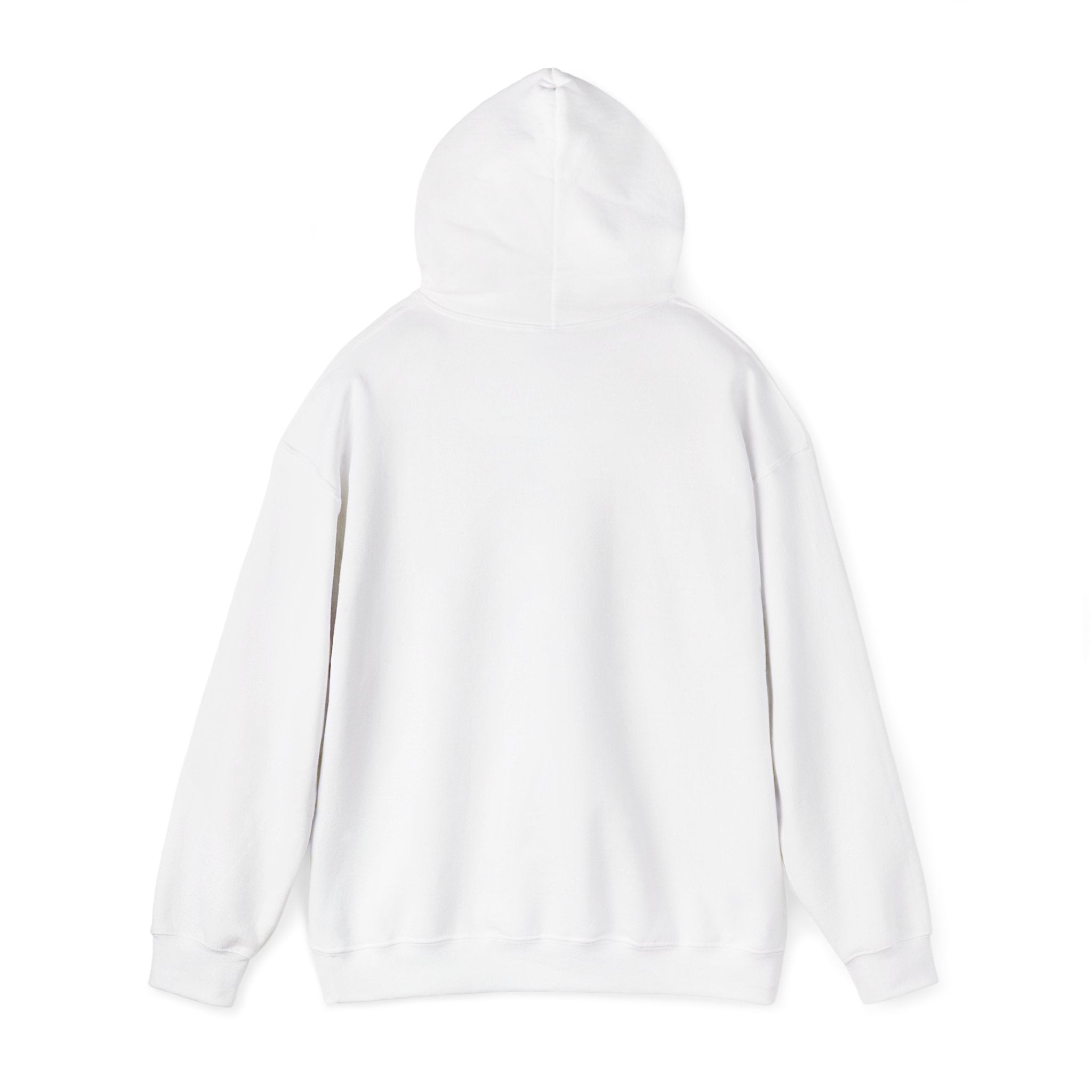PW School of Art Unisex Hoodie - Cozy & Stylish Sweatshirt for Students