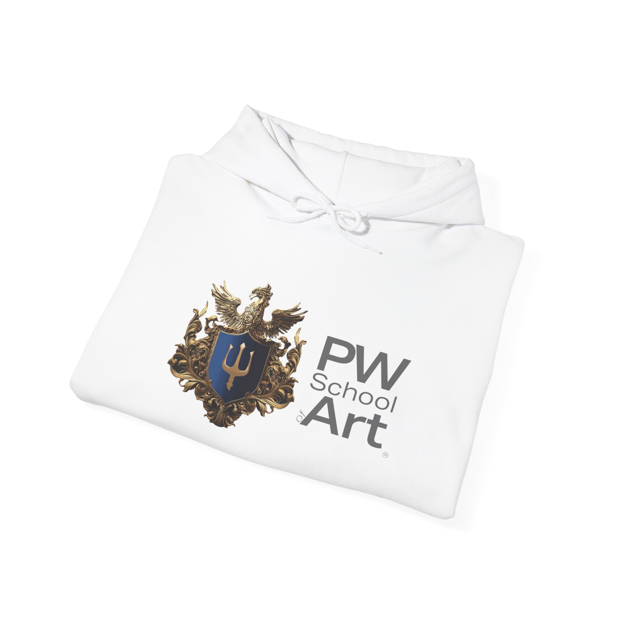 PW School of Art Unisex Hoodie - Cozy & Stylish Sweatshirt for Students