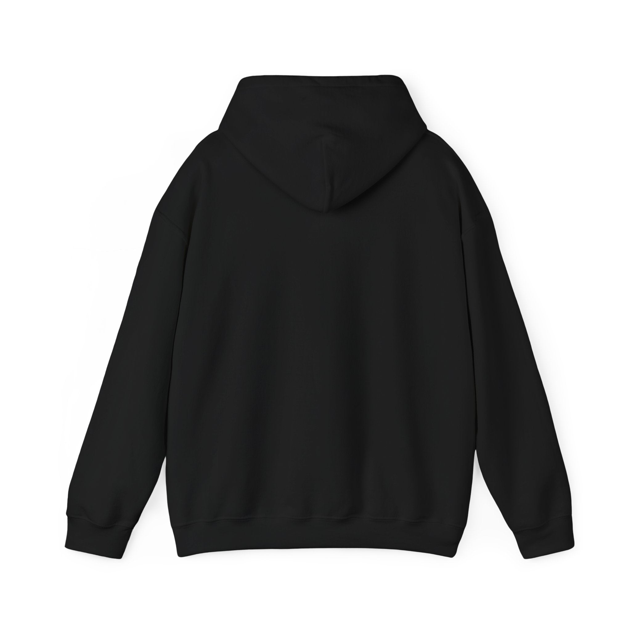 PW School of Art Unisex Hoodie - Cozy & Stylish Sweatshirt for Students